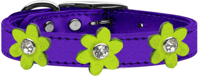 

Mirage Pet Products Dog Everyday Collar(, Purple