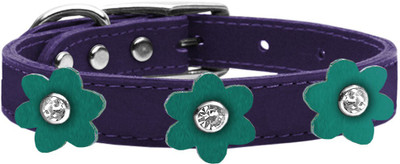 

Mirage Pet Products Dog Everyday Collar(, Purple