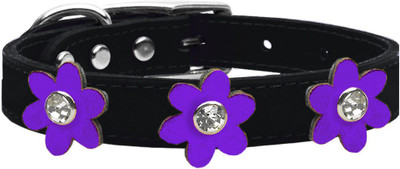 

Mirage Pet Products Dog Everyday Collar(, Purple