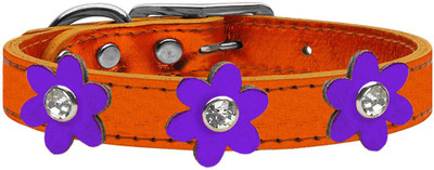

Mirage Pet Products Dog Everyday Collar(, Purple