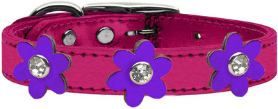 

Mirage Pet Products Dog Everyday Collar(, Purple