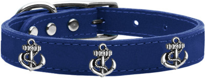 

Mirage Pet Products Dog Everyday Collar(, Blue