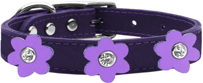 

Mirage Pet Products Dog Everyday Collar(, Purple