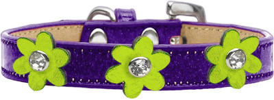 

Mirage Pet Products Dog Everyday Collar(, Purple