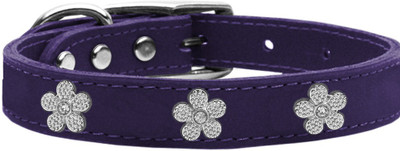 

Mirage Pet Products Dog Everyday Collar(, Purple