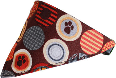 

Mirage Pet Products Dog Everyday Collar(, Multicolor