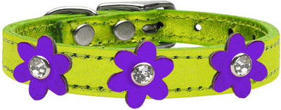 

Mirage Pet Products Dog Everyday Collar(, Purple