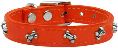 

Mirage Pet Products Dog Everyday Collar(, Orange