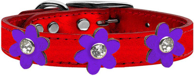 

Mirage Pet Products Dog Everyday Collar(, Purple