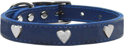 

Mirage Pet Products Dog Everyday Collar(, Blue