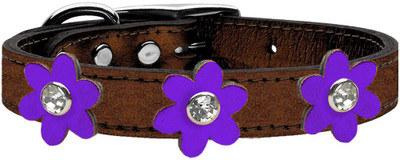 

Mirage Pet Products Dog Everyday Collar(, Purple