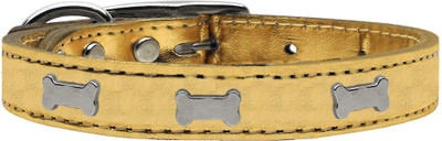 

Mirage Pet Products Dog Everyday Collar(, Gold