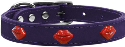 

Mirage Pet Products Dog Everyday Collar(, Purple