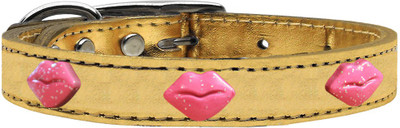 

Mirage Pet Products Dog Everyday Collar(, Gold