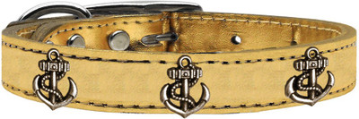 

Mirage Pet Products Dog Everyday Collar(, Gold