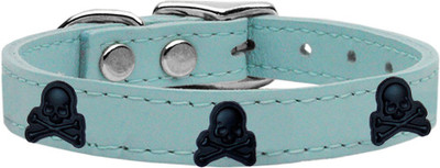 

Mirage Pet Products Dog Everyday Collar(, Blue