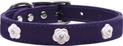 

Mirage Pet Products Dog Everyday Collar(, Purple
