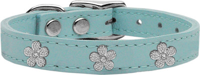 

Mirage Pet Products Dog Everyday Collar(, Blue