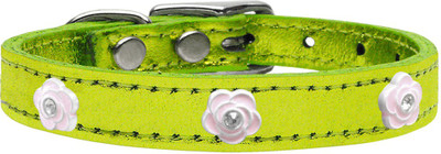 

Mirage Pet Products Dog Everyday Collar(, Lime Green