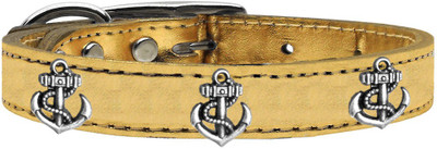 

Mirage Pet Products Dog Everyday Collar(, Gold