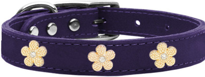 

Mirage Pet Products Dog Everyday Collar(, Purple