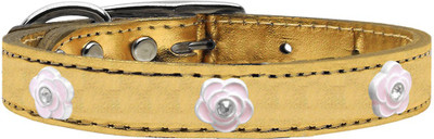 

Mirage Pet Products Dog Everyday Collar(, Gold