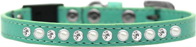 

Mirage Pet Products Dog & Cat Everyday Collar(, Aqua