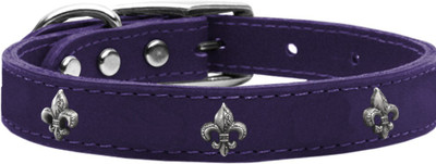 

Mirage Pet Products Dog Everyday Collar(, Purple