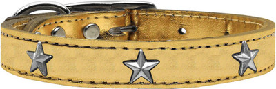 

Mirage Pet Products Dog Everyday Collar(, Gold