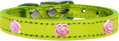 

Mirage Pet Products Dog Everyday Collar(, Lime Green