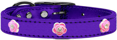 

Mirage Pet Products Dog Everyday Collar(, Purple