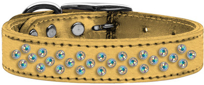 

Mirage Pet Products Dog Everyday Collar(, Gold