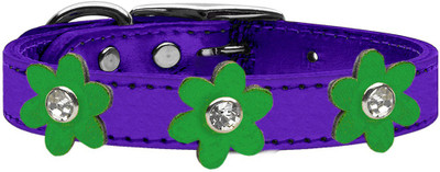 

Mirage Pet Products Dog Everyday Collar(, Purple