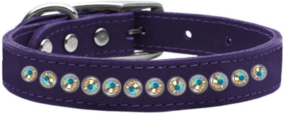

Mirage Pet Products Dog Everyday Collar(, Purple