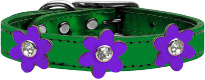 

Mirage Pet Products Dog Everyday Collar(, Purple
