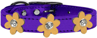 

Mirage Pet Products Dog Everyday Collar(, Purple