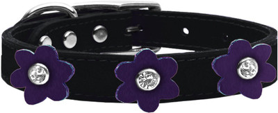 

Mirage Pet Products Dog Everyday Collar(, Purple