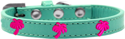 

Mirage Pet Products Dog Everyday Collar(, Aqua