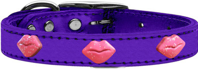 

Mirage Pet Products Dog Everyday Collar(, Purple