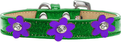 

Mirage Pet Products Dog Everyday Collar(, Purple