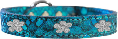 

Mirage Pet Products Dog Everyday Collar(, Blue