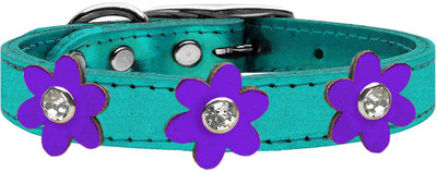

Mirage Pet Products Dog Everyday Collar(, Purple