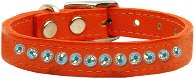 

Mirage Pet Products Dog Everyday Collar(, Orange