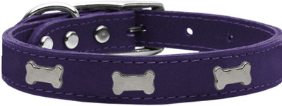 

Mirage Pet Products Dog Everyday Collar(, Purple