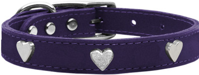 

Mirage Pet Products Dog Everyday Collar(, Purple