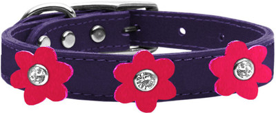 

Mirage Pet Products Dog Everyday Collar(, Purple