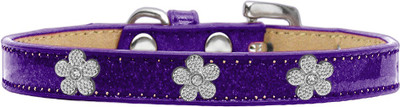 

Mirage Pet Products Dog Everyday Collar(, Purple