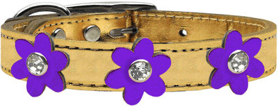 

Mirage Pet Products Dog Everyday Collar(, Purple