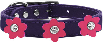 

Mirage Pet Products Dog Everyday Collar(, Purple