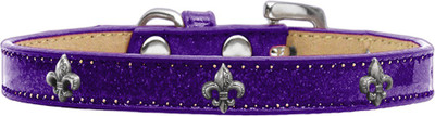 

Mirage Pet Products Dog Everyday Collar(, Purple